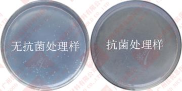 环保粉末防霉抗菌剂AEM5700-DC1在PVC材料中的应用与优势